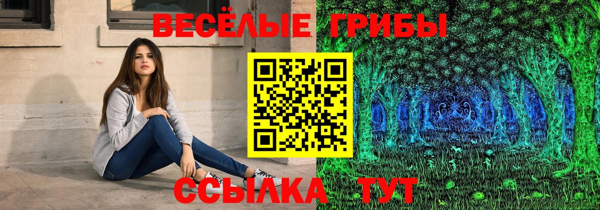 Шали  Псилоцибиновые грибы Cubensis  Вход с VPN 