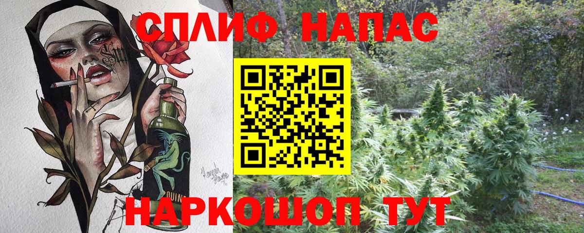 Канабис Ganja  Вход с VPN  Шали  Конопля тримм  Канабис Amnesia  Канабис конопля 